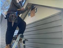 Best Siding Removal and Disposal  in Rineyville, KY